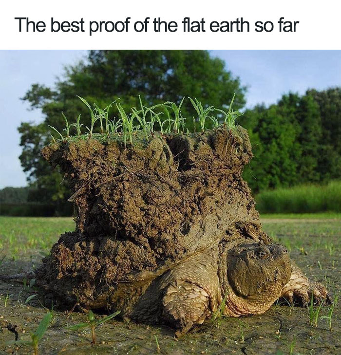 The Best Proof