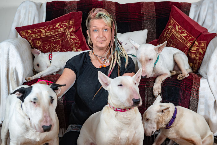 Husband Fed Up With The 30 Dogs His Wife Pets Asks Her To Choose Him Or The Dogs, And Probably Regrets It Afterwards