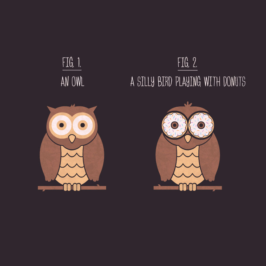 Owl Or Donut Bird
