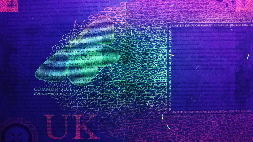 I Always Knew That Passports Used UV Ink For Security So I Checked How That Looks