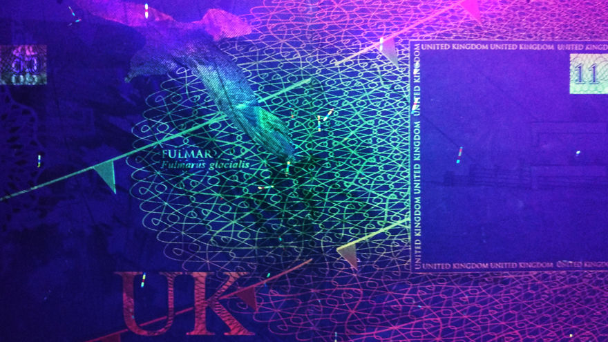 I Always Knew That Passports Used UV Ink For Security So I Checked How That Looks