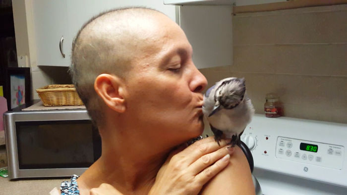 Saved By A Winged Angel