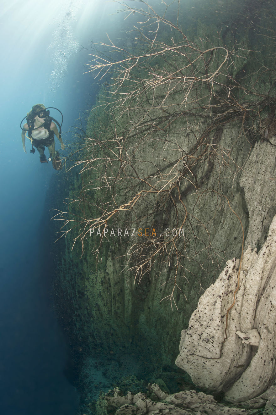 Seven Wonderful Photos Of An Out Worldly Underwater Lake Which Will