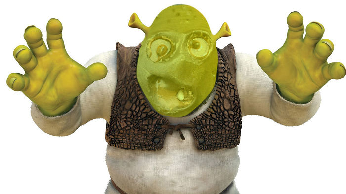What Are You Doing In My Swamp?!