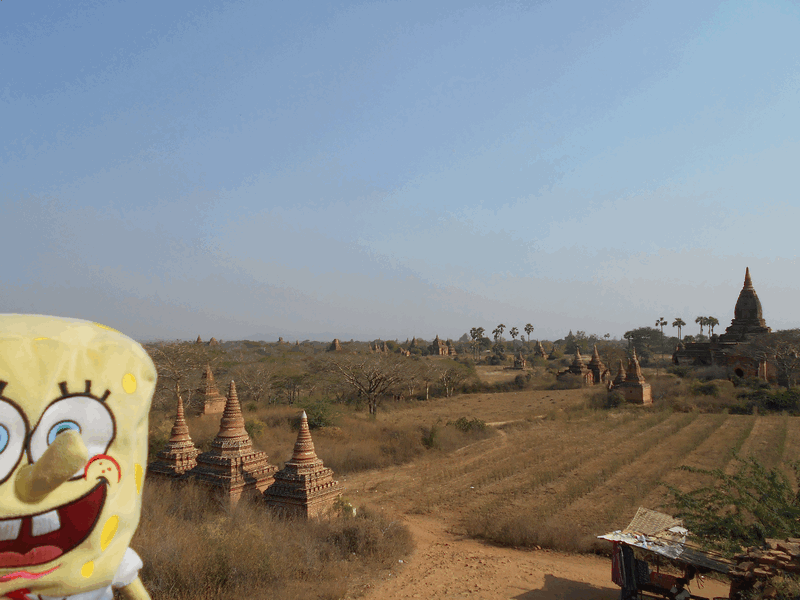 Traveling The World With Spongebob