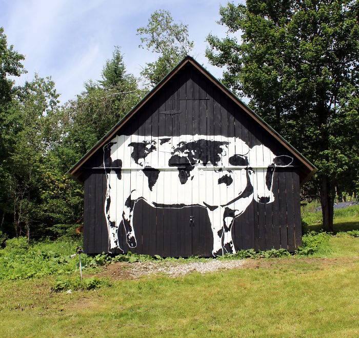 We’re All Spots On The Same Cow