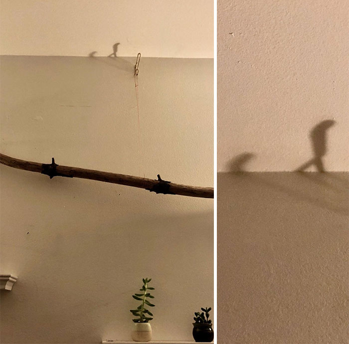 Me parece que esta sombra evoluciona