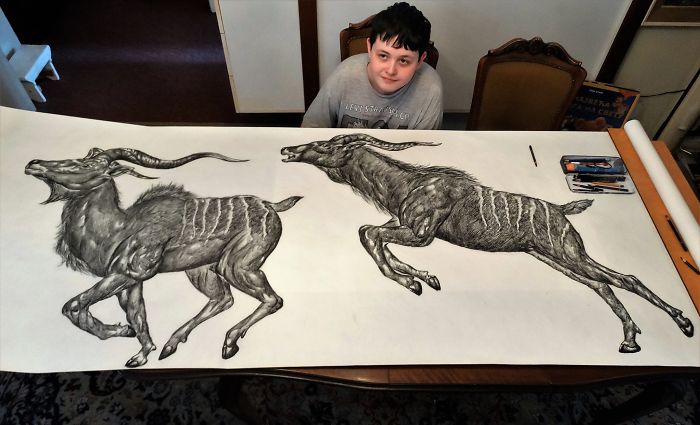 15-Year-Old Boy Prodigy Creates Animal Drawings From Memory, And They're  Even More Impressive From Up-Close | Bored Panda