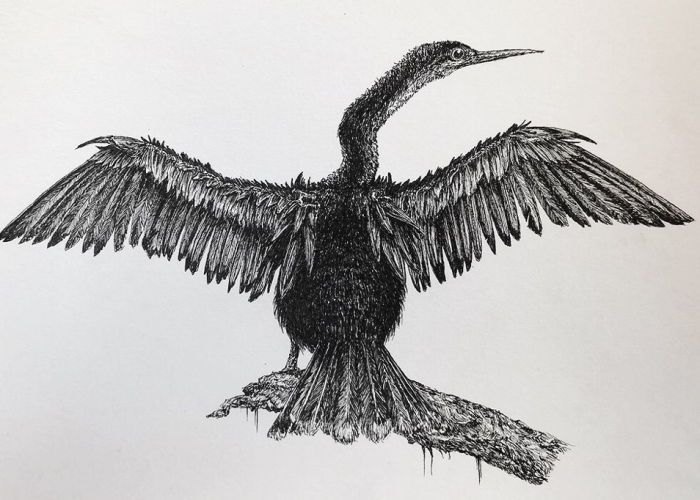 Birds By Bas Geeraets