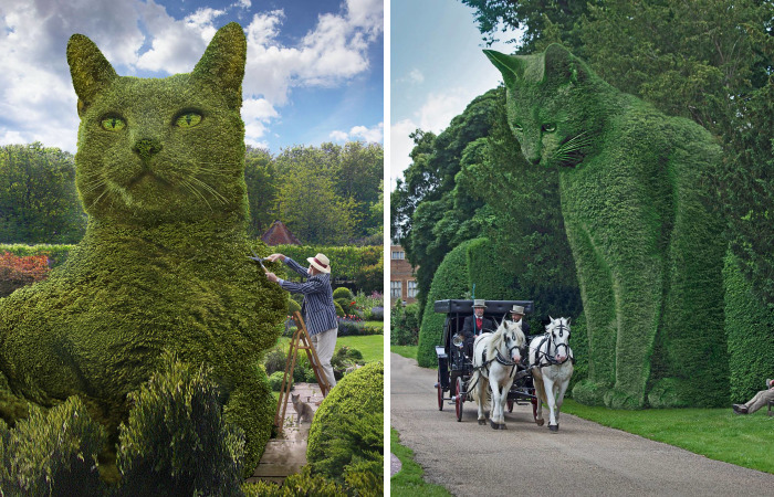 After The Death Of His Cat, Artist Started Doing These Digital Series