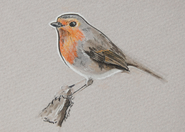 Incredibly Vivid Drawings Show Birds In All Their Beauty