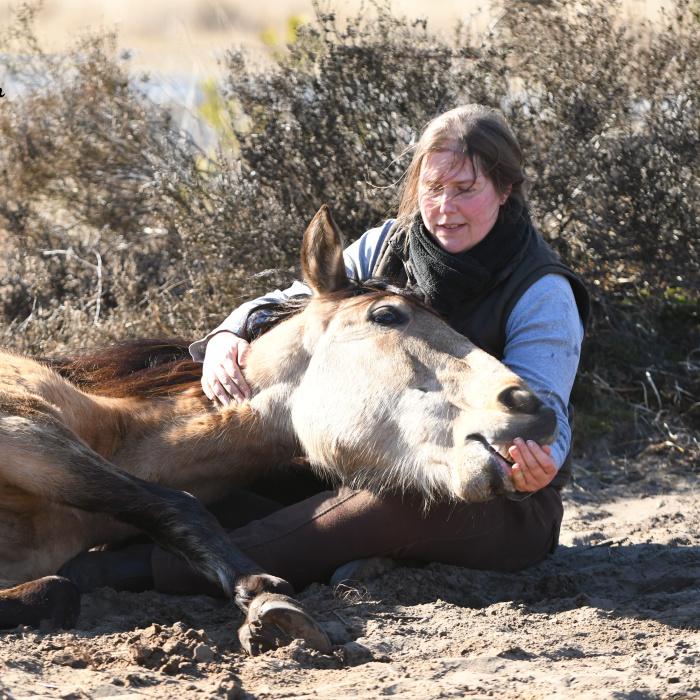 The Love And Trust Between These Horses And Owner Is Amazing