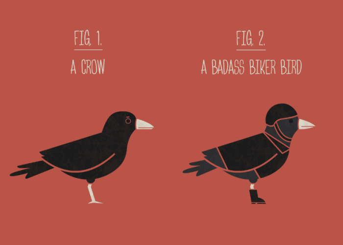 An Illustrated Guide To Quirky Bird Watching