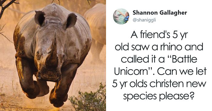 49 Times Genius Kids Came Up With Their Own Words For Common Items, And It Was Spot On