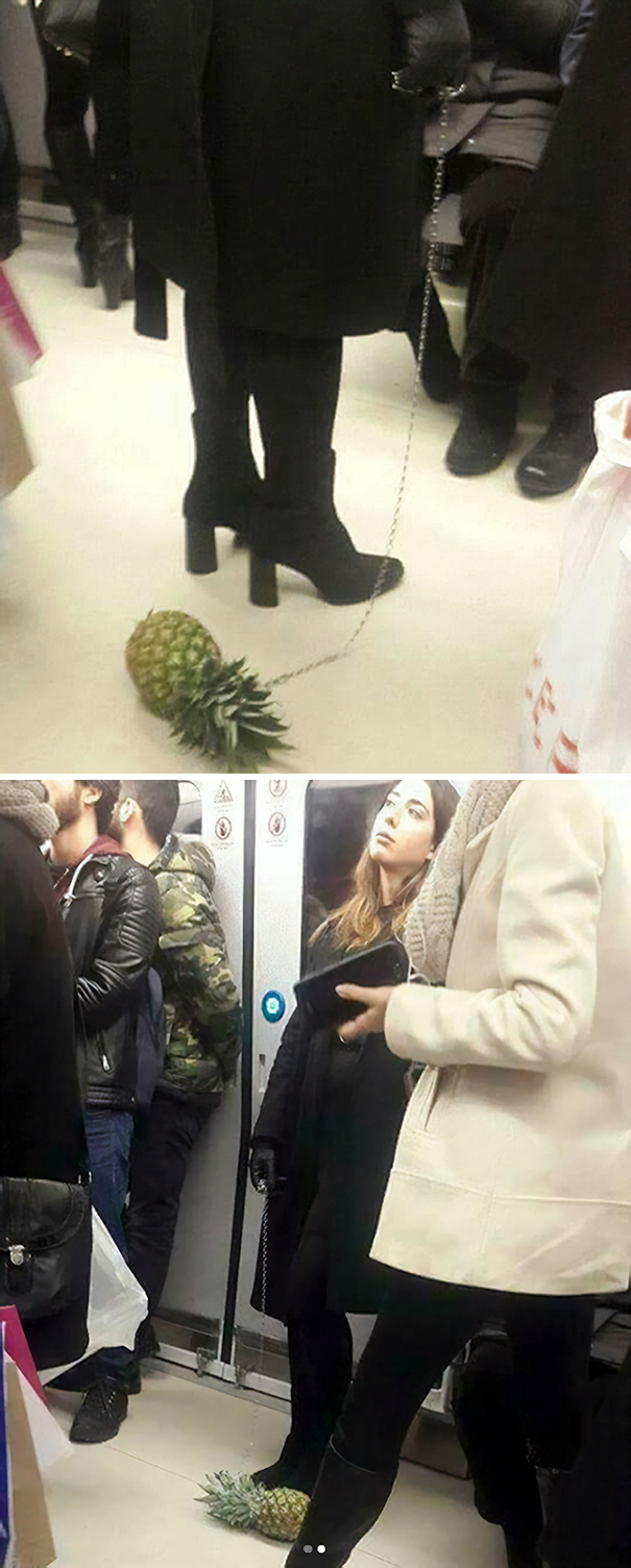 Emotional Support Pineapple?
