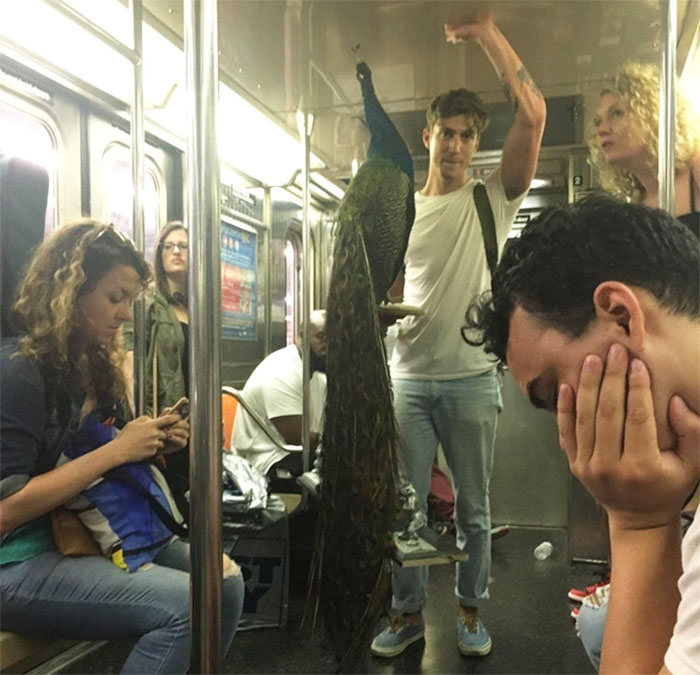 104 Times People Had To Look Twice To Understand What They Were Seeing On The Subway