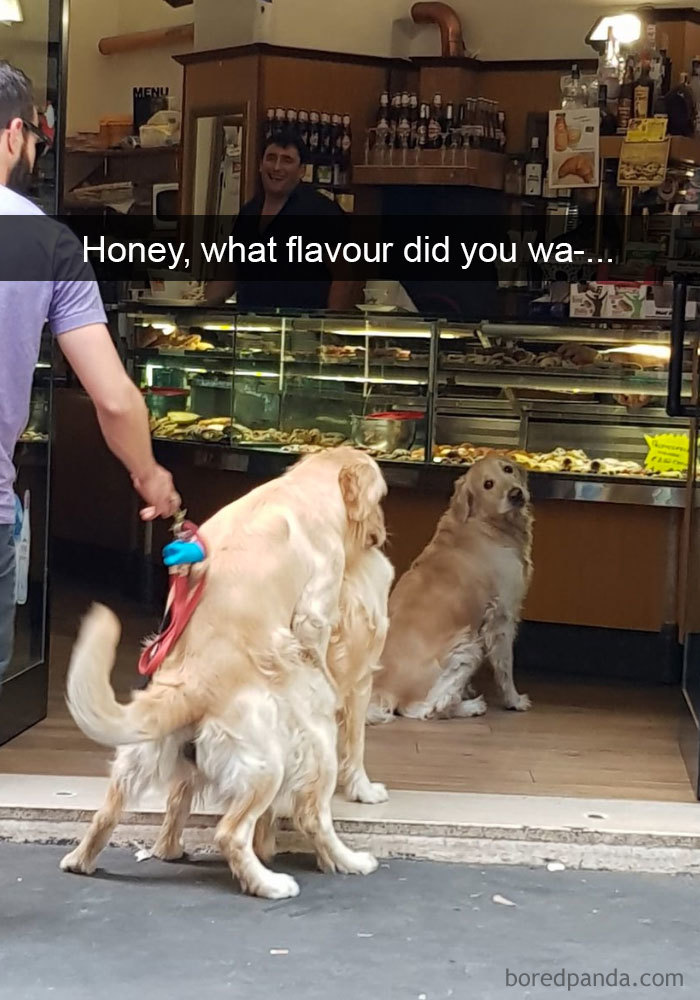 Honey, What Flavour Did You Wa-...