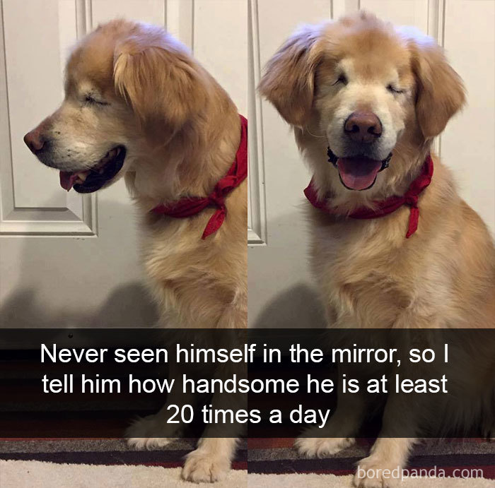 Never Seen Himself In The Mirror, So I Tell Him How Handsome He Is At Least 20 Times A Day