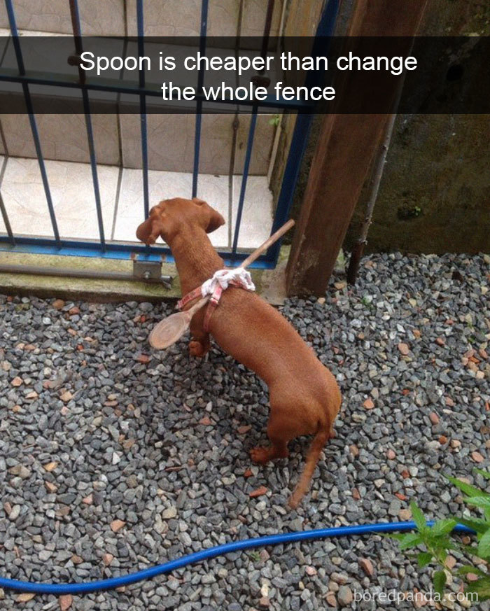Spoon Is Cheaper Than Change The Whole Fence