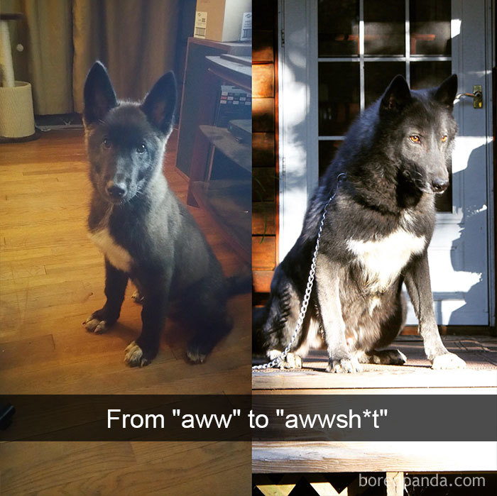 From "Aww" To "Awwsh*t"