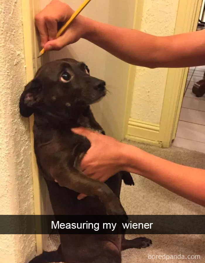 Measuring My Wiener