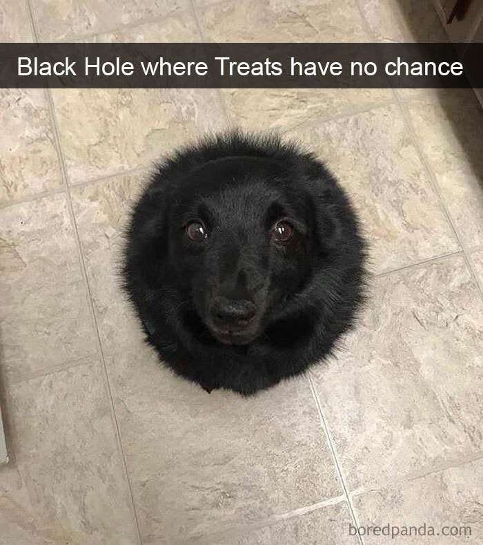 Black Hole Where Treats Have No Chance