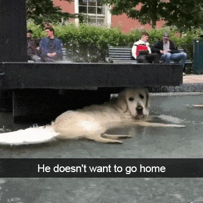 He Doesn't Want To Go Home