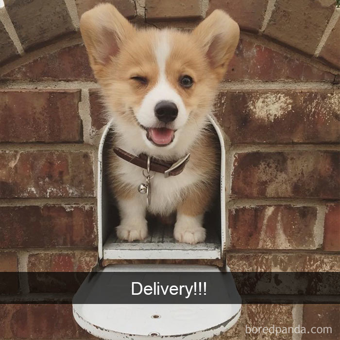 Delivery!!!