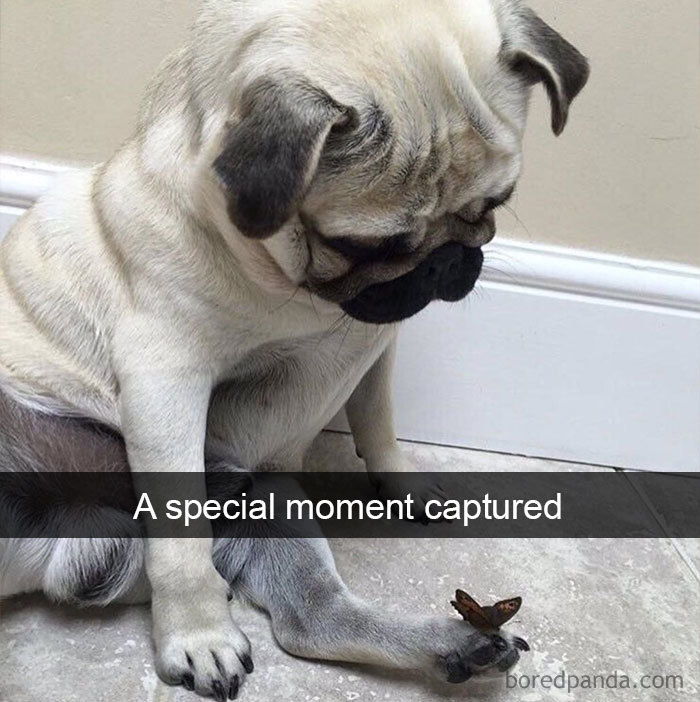 A Special Moment Captured
