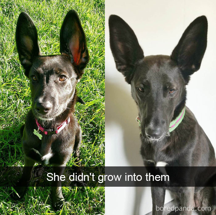 She Didn't Grow Into Them