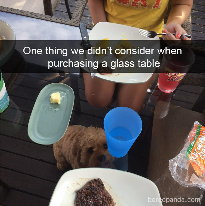 One Thing We Didn’t Consider When Purchasing A Glass Table
