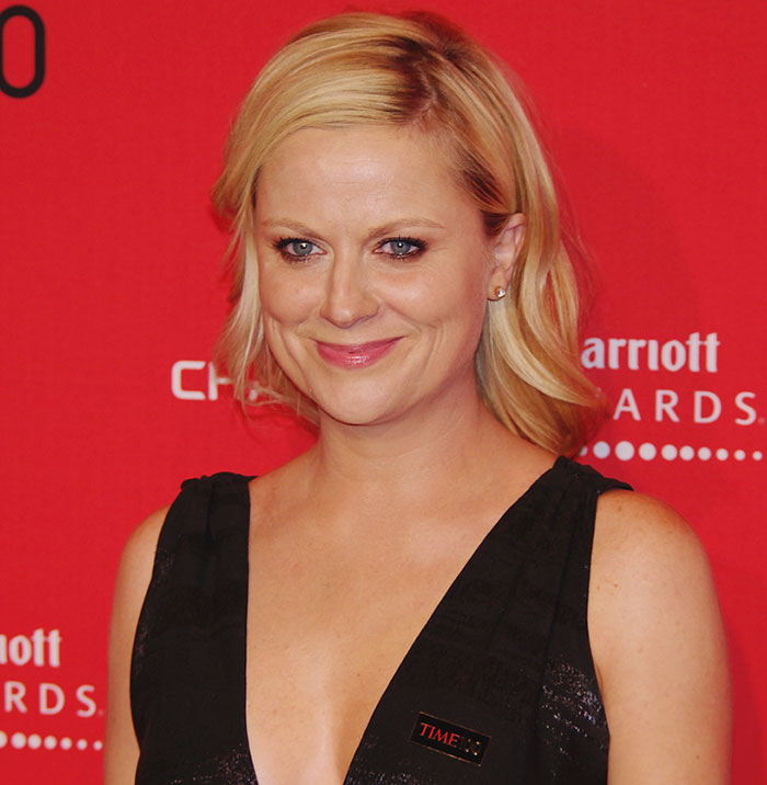 Amy Poehler Did Not Play Along In An Interview And Won The Internet Over With Her Answers