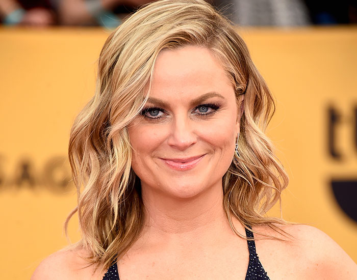 Amy Poehler Did Not Play Along In An Interview And Won The Internet Over With Her Answers