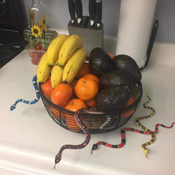 "There's A Snake In My Fruit!". When Your Son Is A Prankster