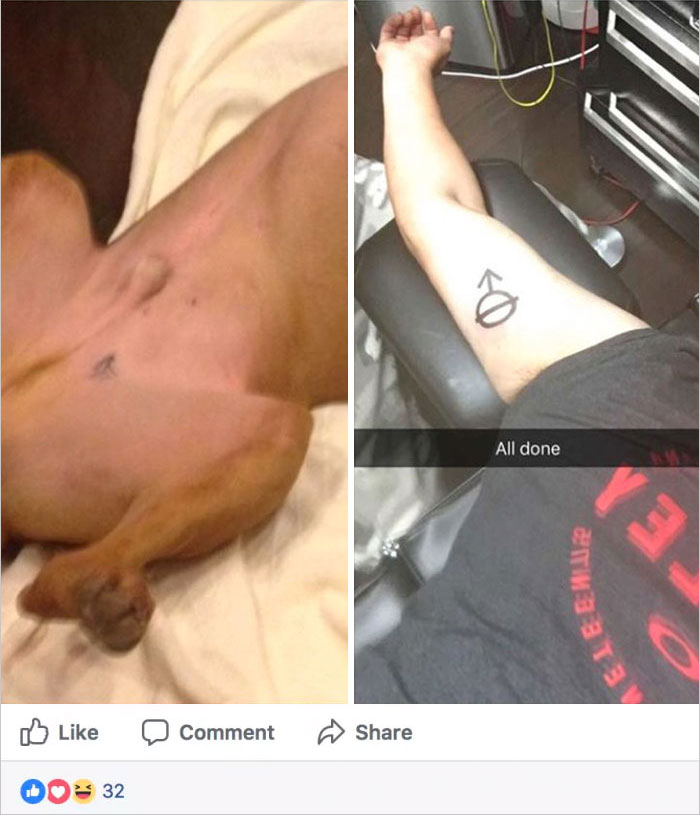 Guy Gets Same Tattoo As His Rescue Dog, People Explain That It's How Neutered Dogs Are Marked