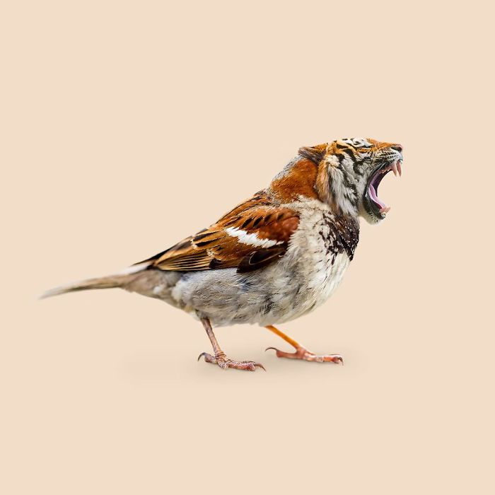 Agency Creates Surreal Manipulations That Will Impress You