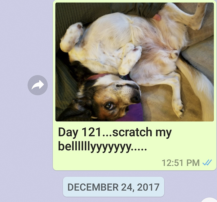 Mother Sends Her Son Pictures Of His Dog Everyday And The Reason Will Melt Your Heart