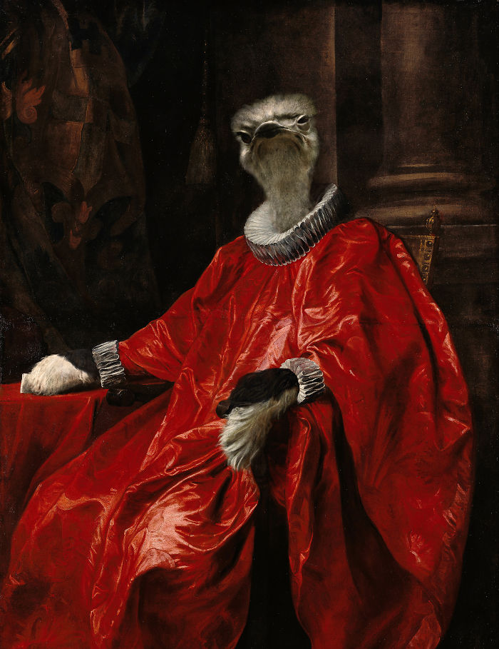 Cardinal Ostrich