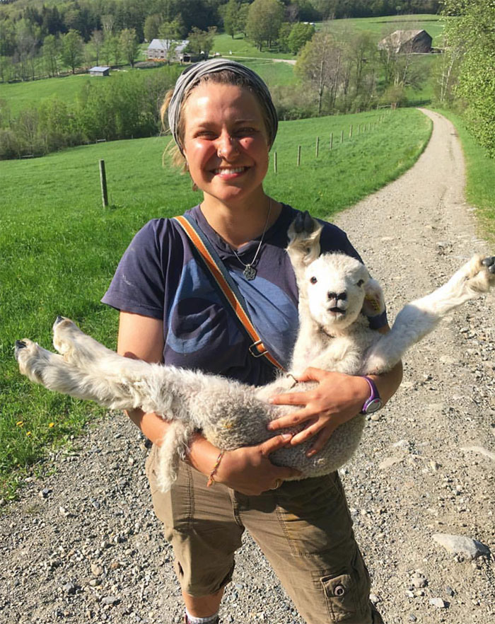 I Think I Found The Happiest Lamb Of All Time