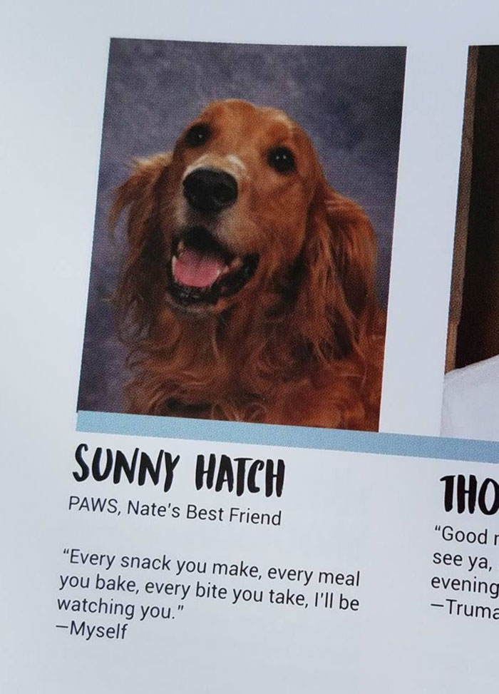 They Put My Friend’s Service Dog In The Yearbook