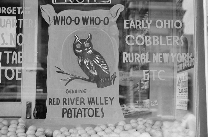 Grocery Store Window, Dubuque, Iowa, 1940