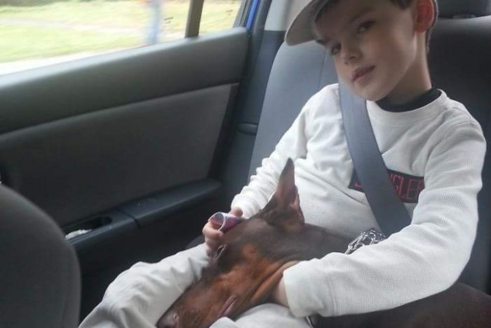 Boy Sells His Toys To Pay For His Service Dog's Treatment