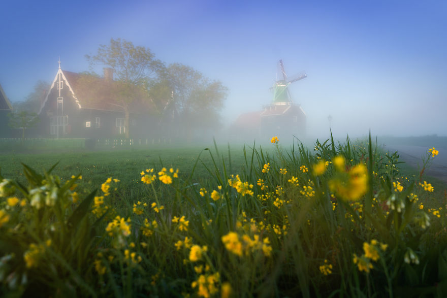 With The Sun Up The Fog Slowly Flows Out Of The Way Revealing The Magical Scenery Of The Zaanse Schans