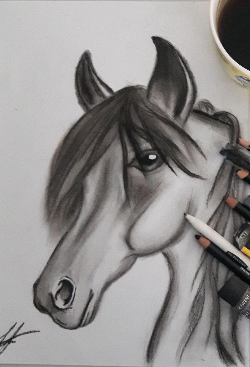 Horse