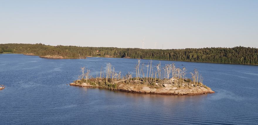 Baltic Sea
