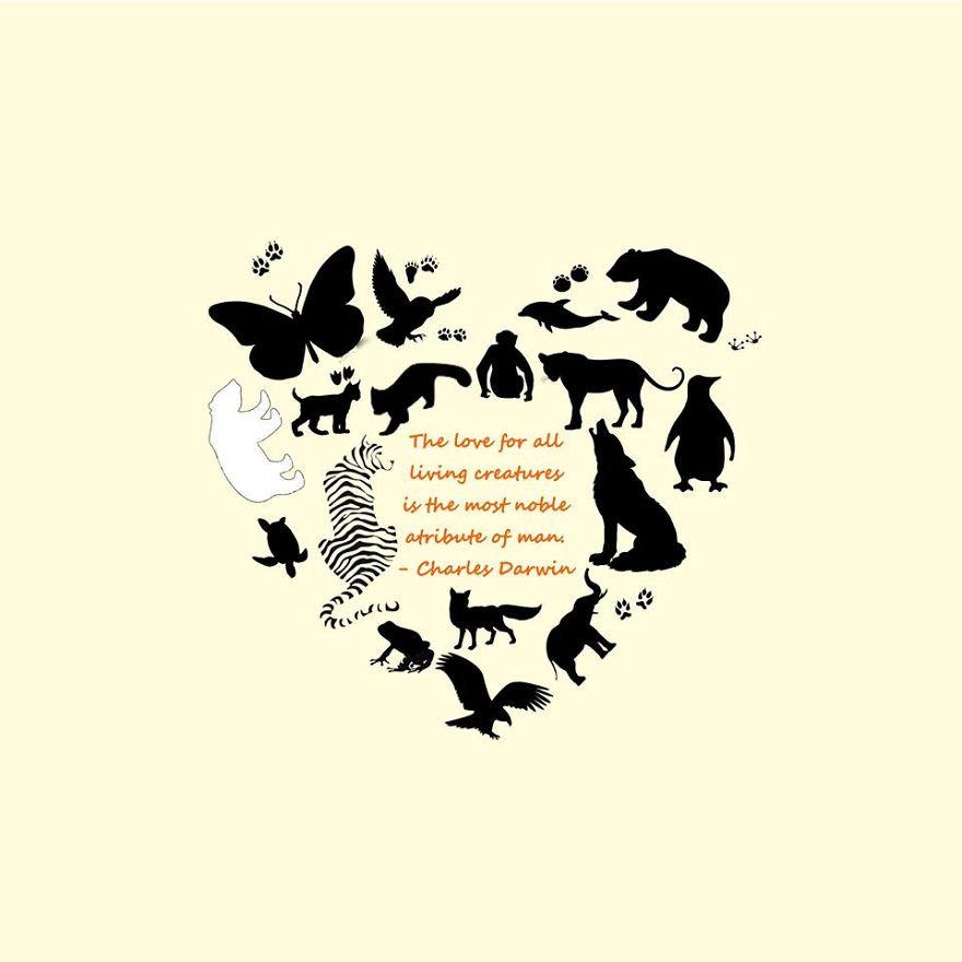 Artwork For Animals