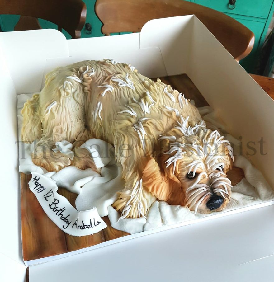 Woman Makes Animal Shaped Cakes And You Would Not Have The Guts To Cut It Out
