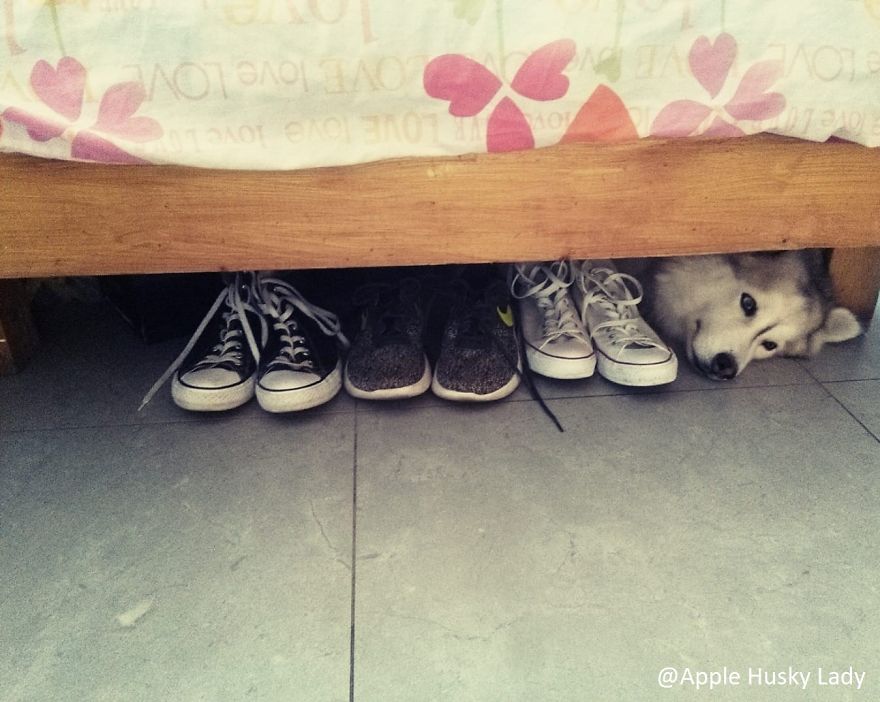 Finally Found The Lost Shoe