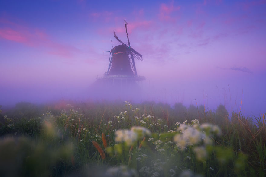 Just Before Sunrise The Clouds Turn Purple. A Thick Fog Blanket Makes It Look Like The Windmills Are Floating