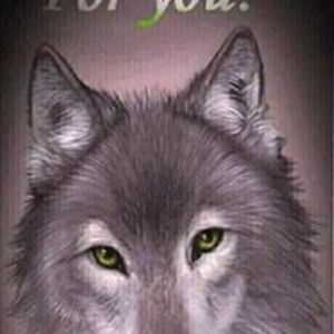 anitaelisabethj avatar